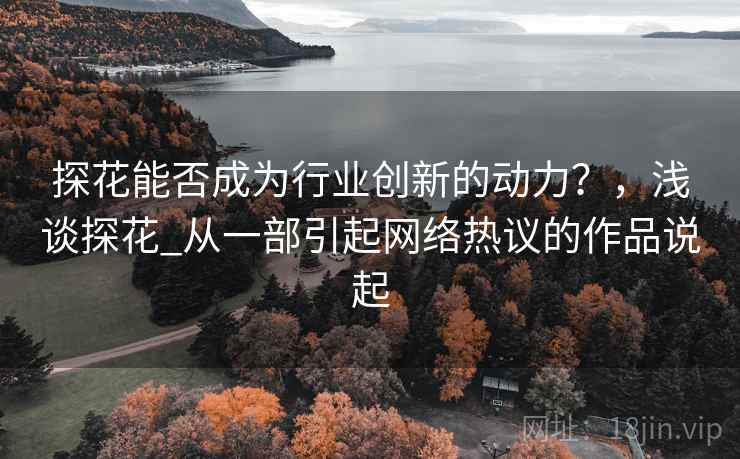 探花能否成为行业创新的动力？，浅谈探花_从一部引起网络热议的作品说起