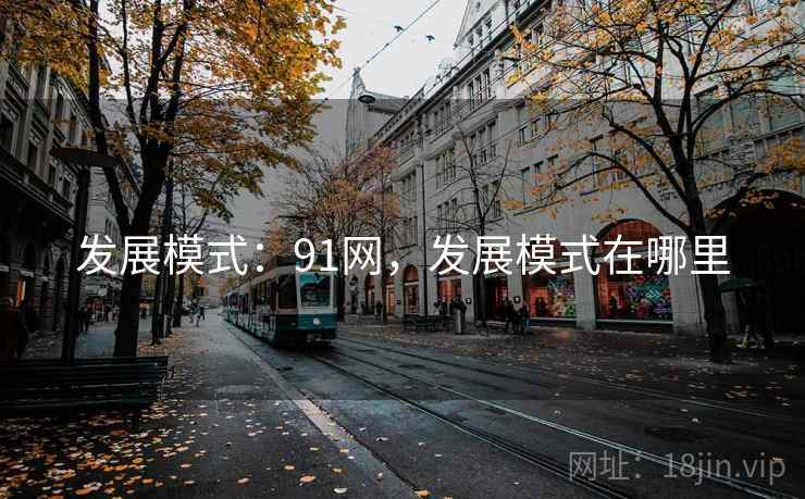 发展模式：91网，发展模式在哪里