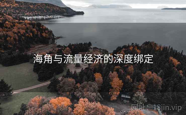 海角与流量经济的深度绑定