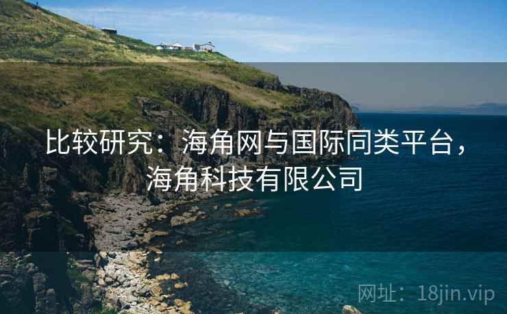 比较研究：海角网与国际同类平台，海角科技有限公司