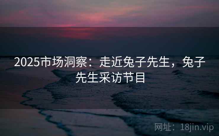 2025市场洞察：走近兔子先生，兔子先生采访节目