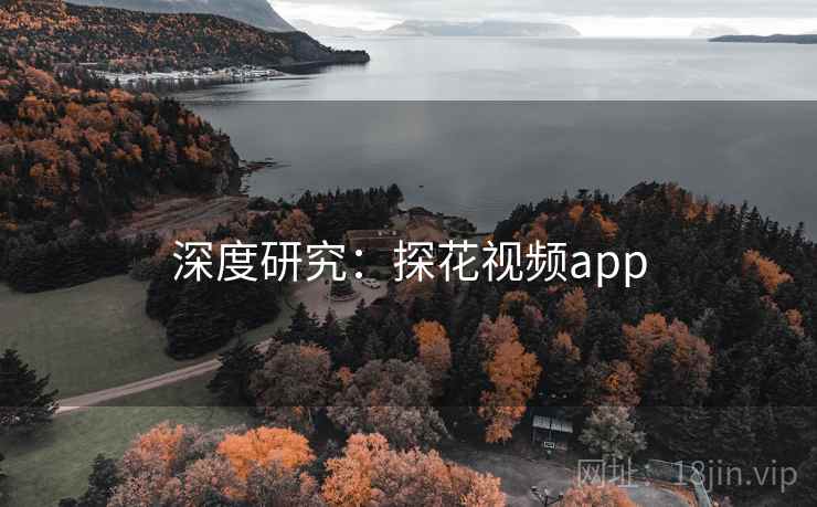 深度研究：探花视频app